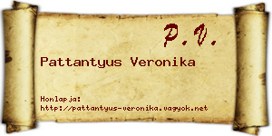 Pattantyus Veronika névjegykártya